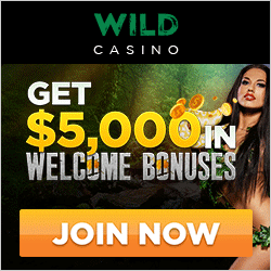 Wild Casino Bonus Code